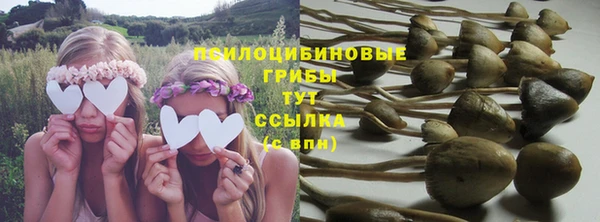 метадон Нея