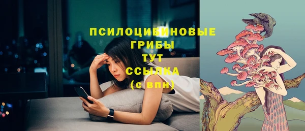 эйфоретик Нефтекумск