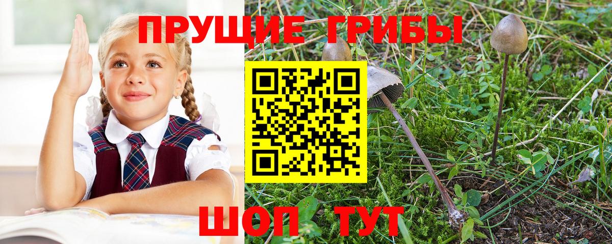 Галлюциногенные грибы Cubensis  Вход с VPN  Галлюциногенные грибы мицелий  Россошь 