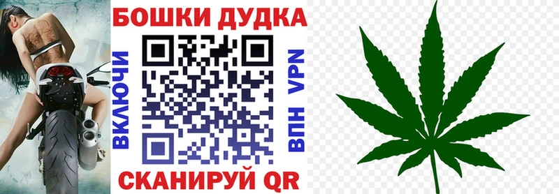 Бошки Шишки SATIVA & INDICA  цена наркотик  Россошь 